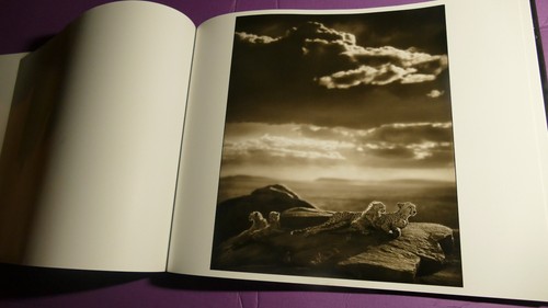 HIGH DEFINITION FOTOKUNST / A SHADOW FALLS / VON NICK BRANDT EDIT KNESELBECK 2009 - Bild 20 von 24