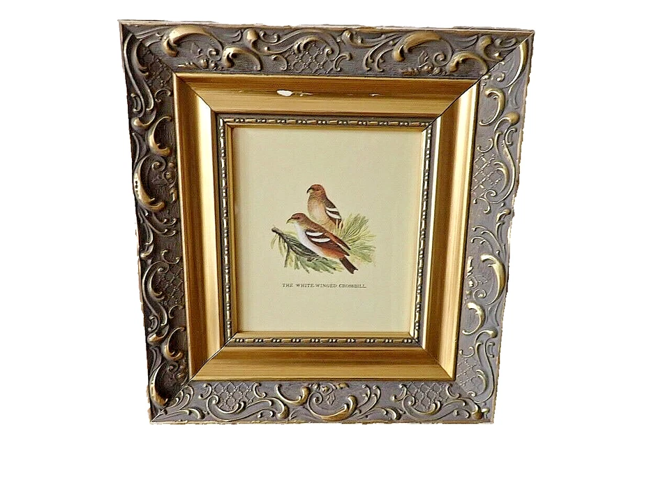 The White - Wnged Crossbill and Red-Backed Shrike Prints - Image 2 of 3