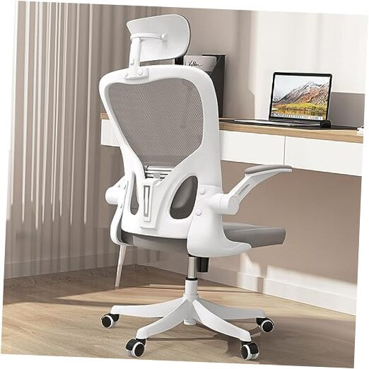 Ergonomic Office Chair with Lumbar Support for Home and Desk