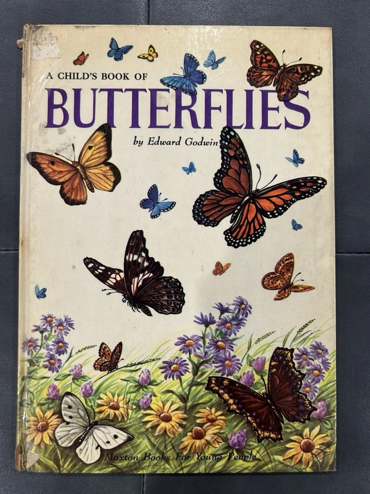 * Vintage Lot 3 A Child's Book Of Fishes Butterflies Sea Shells - Maxton Books — 第 3/4 张图片