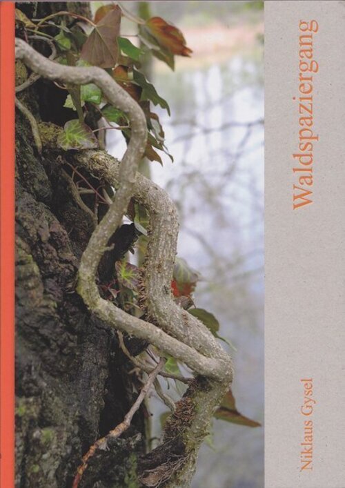Niklaus Gysel | Waldspaziergang | Buch (2017) | Mondberg Verlag Gmbh