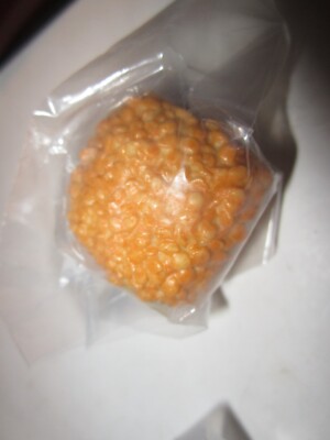Replacement American Girl Doll 2016 LEA CLARK Fruit Stand GRANOLA ONLY NEW