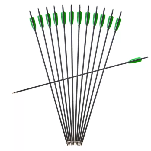 24pcs 31" Carbon Arrows Turkey Feathers Target Archery SP500 Bow Hunting Target - Picture 3 of 11
