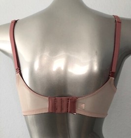 Victoria's Secret Nwt Dream Angels Withered Rose & Nude Uplift Unlined Bra 34D