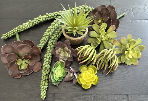 Pottery Barn Succulent Faux Stems Floral And One Potted LOT