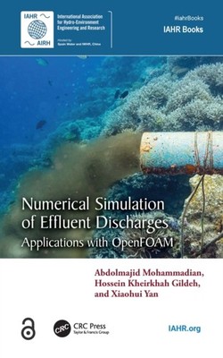 NUMERICAL SIMULATION OF EFFLUENT DISCHA by MOHAMMADIAN ABDOLMA Paperback