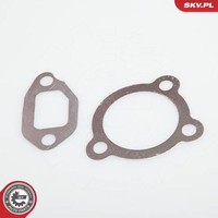 Esen SKV Agr-Ventil 14SKV031 FüR Opel