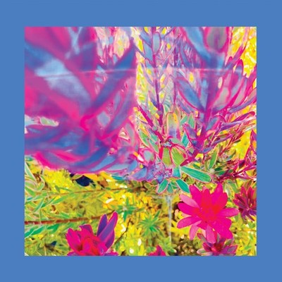 The Reds, Pinks and Purples The Past Is a Garden I Never Fed (Vinyl)