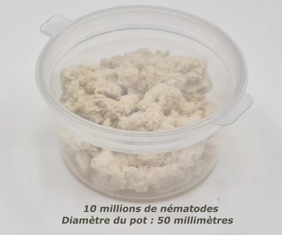 SOLUNEMA - 10 Millions Nématodes SF contre les Mouches du Terreau, Longue Durée - Photo 2/2