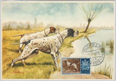 52675  - SAN MARINO  - MAXIMUM CARD - ANIMALS dog POINTER   1956