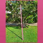 Bild 151 von 204
