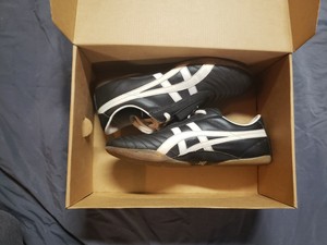asics kung fu shoes