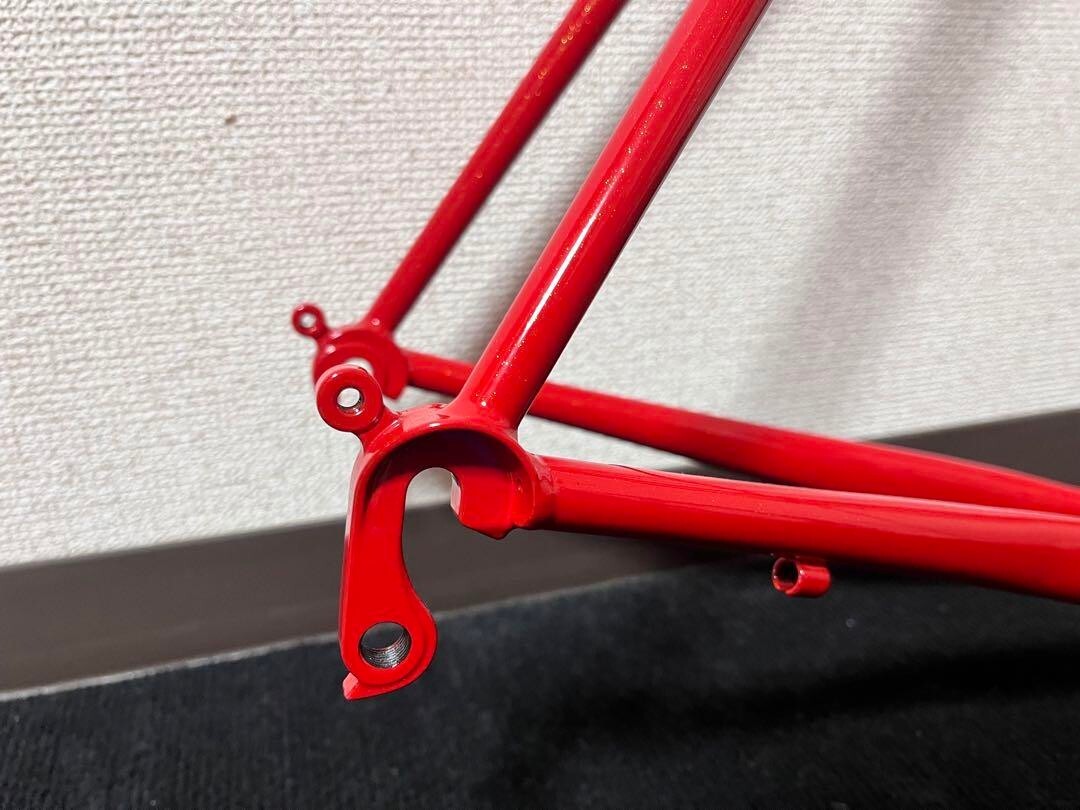 Surly Pacer 54 New Frame with Chris King Headset Free