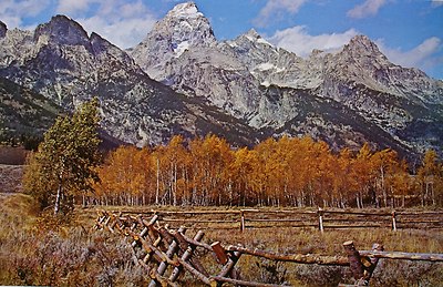 Four (4) Grand Tetons Mountain Landscape Open Edition Fine Art Prints 10x16 
