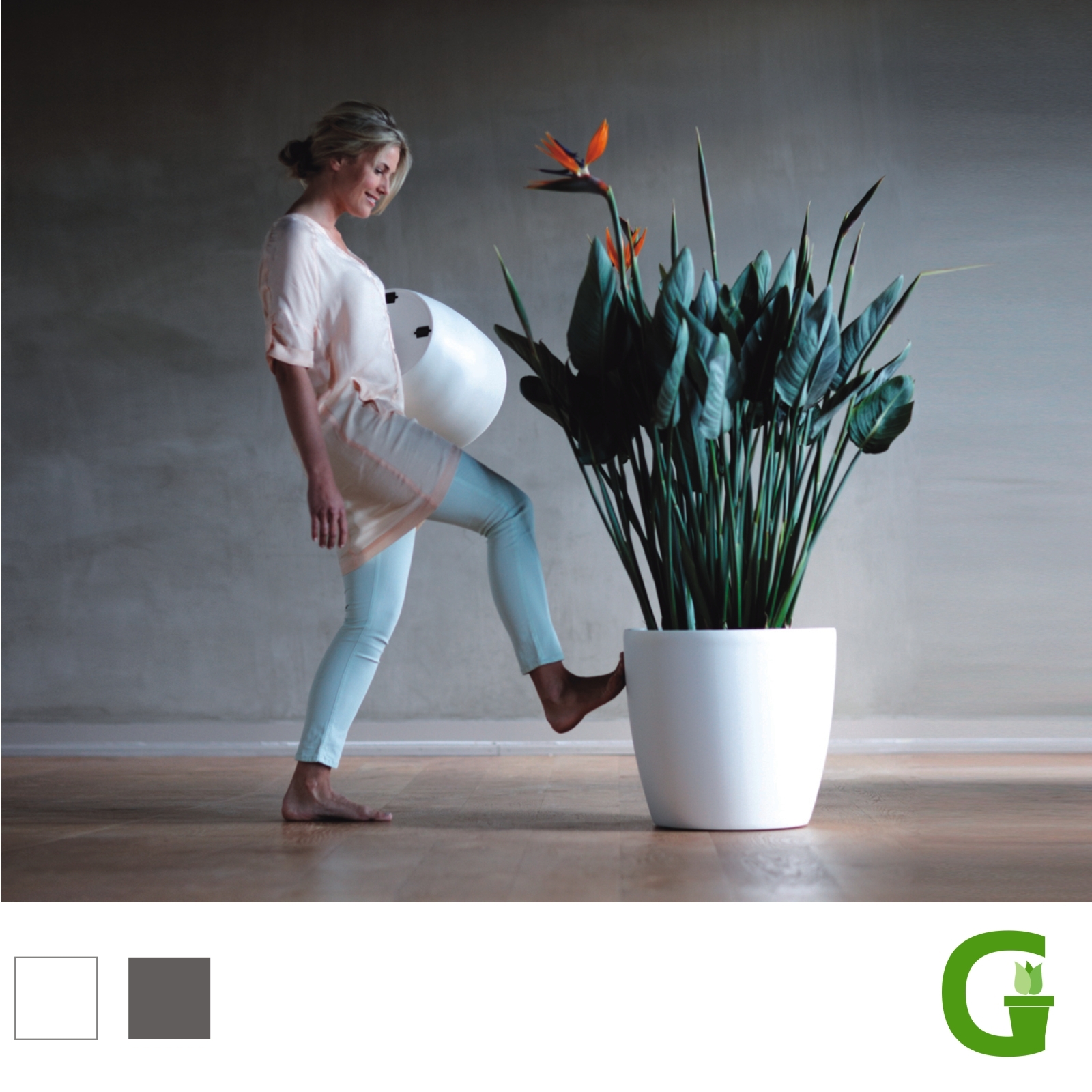 elho brussels round wheels Großer Blumenübertopf mit Rollen Blumentopf