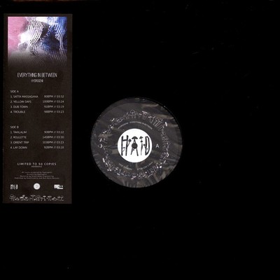 Hydrogenii - Everything In Between (Vinyl LP - 2024 - EU - Original)