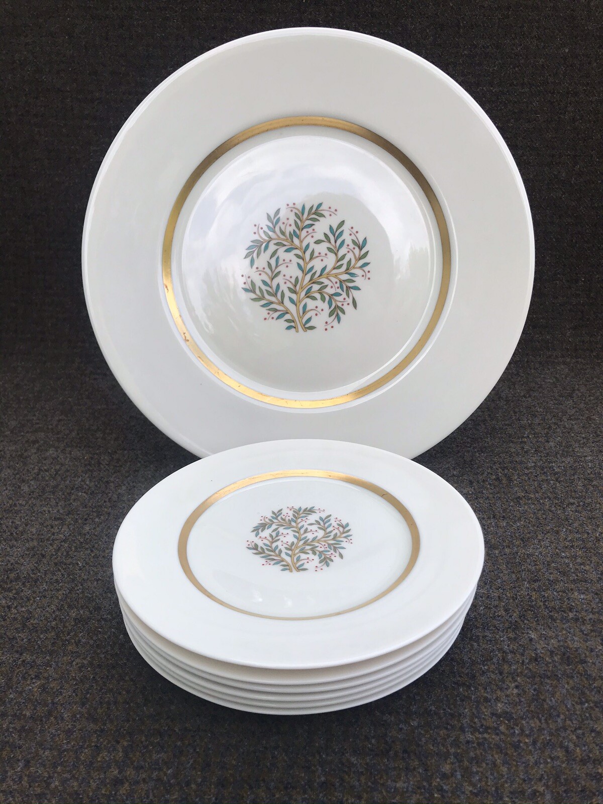 Franciscan FREMONT 1 Dinner Plate + 6 Salad Dessert. Cake Set or Replacements