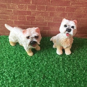 miniature westie