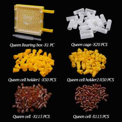 1 Set Queen Bee Rearing Kit, Box Cage Holder Plastic Cell Cups, Beekeeping