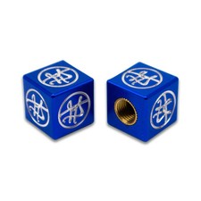 GARY TURNER GT X BILLET BMX Full Size Dice Valve Stem Caps 2 Pack