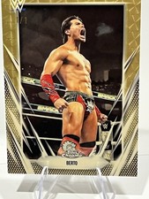 Marketplace image: 2026 Topps Chrome Wwe superfractor 1/1 Berto