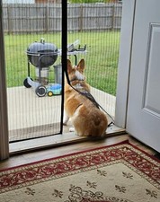 Magnetic Screen Door 38x82 Mesh, Hands-Free Auto Close Bug Mosquito Cover