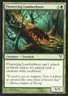 FLOWERING LUMBERKNOT 178/244 AVACYN RESTORED MTG MAGIC NM (yourdeckbuilder)