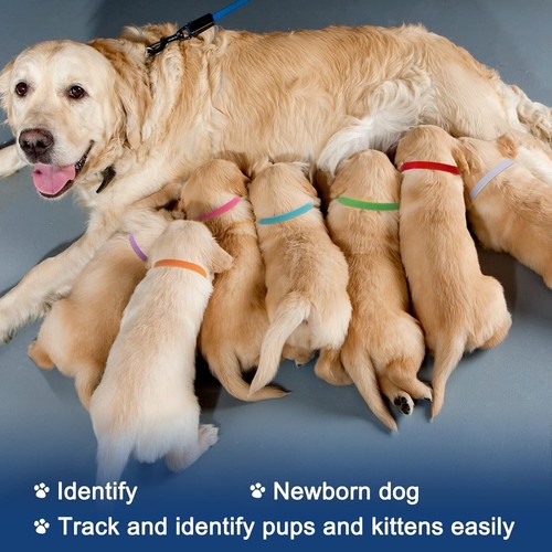 Collares ajustables para cachorros de 20 colores - suaves, de doble cara para perros y gatos recién nacidos - Imagen 6 de 8