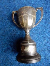 WHARFEDALE FOOTBALL LEAGUE TROPHY MINIATURE WINNER 1949  PLATE 