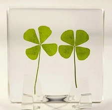 2.9" Pair Four Leaf Clover in Clear Lucite St.Patrick's Day "Lucky Leaf" Gift