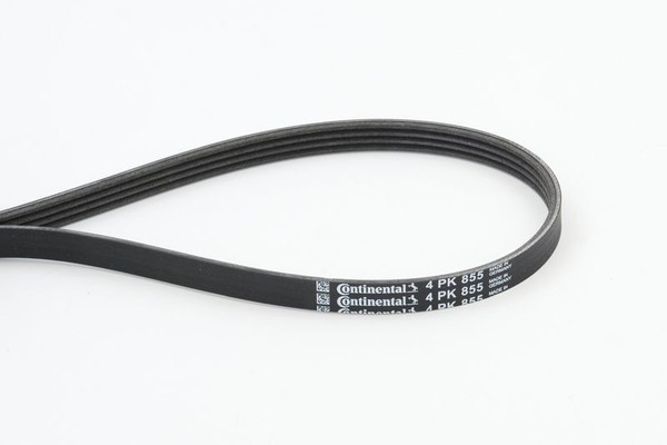 Continental Ctam 4PK855 Keilrippenriemen FüR Audi Bmw CitroËN-image