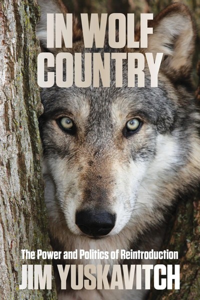 In Wolf Country | The Power And Politics Of Reintroduction | Jim Yuskavitch-image