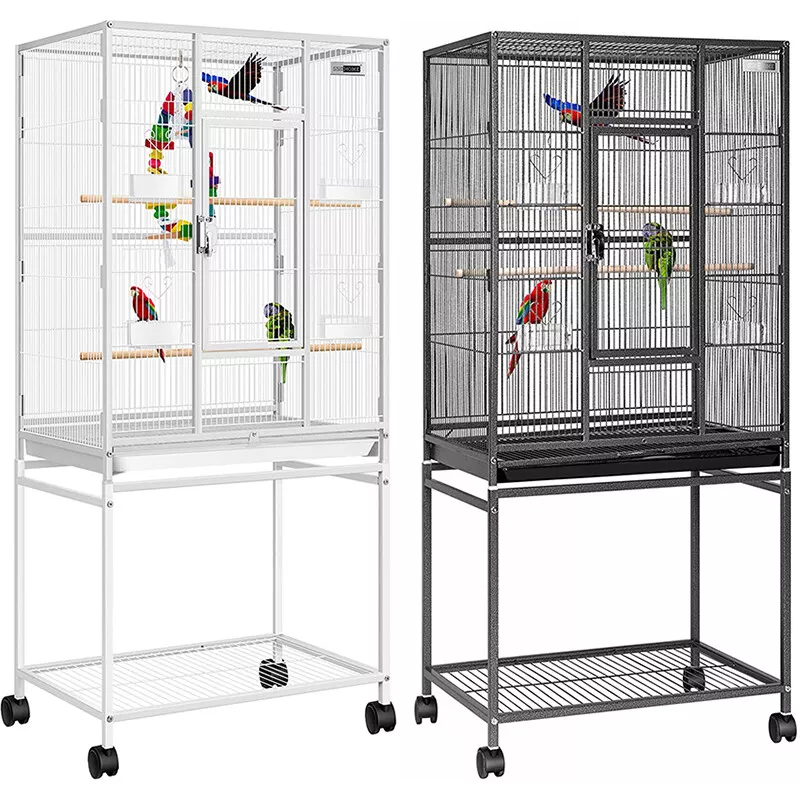 Parrotlet best sale bird cage