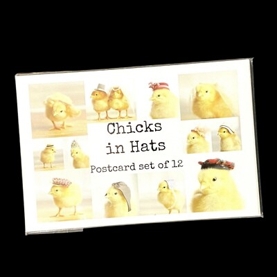 Chicks in Hats Postcard Set of 12 Blank Cards 4'' x 6'' Spring Easter Farmyard