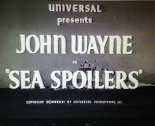 JOHN WAYNE IN "THE SEA SPOILERS" RARE DVD - 第 3/4 張圖片