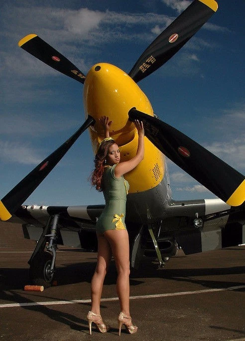 WW2 Flugzeug Modellflugzeug1 48Jäger17gebaut51Rüstung4Bomber b Karussell f p - Bild 3 von 4