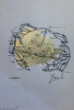 RUBENS FOGACCI - SERIE ATLAS - GRANCHIO - 40X30 - MISTA SU CARTA - 2018