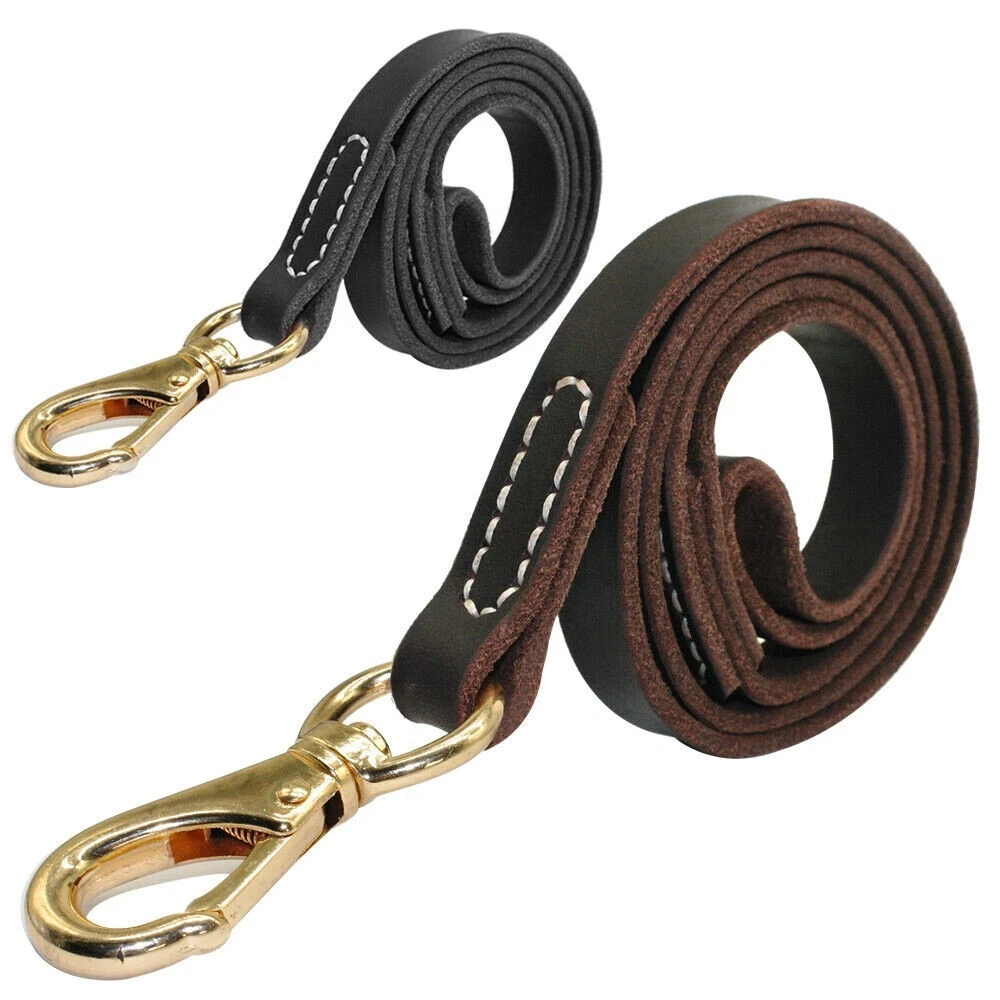 Dog leash longer than 6 feet outlet