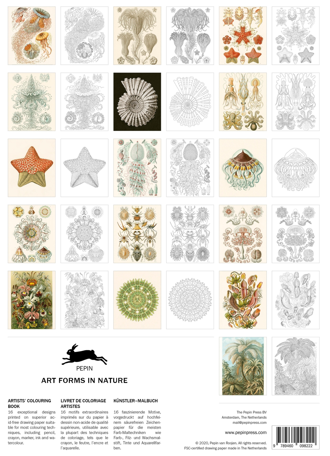 Thumbnail - Art Forms In Nature - Artists' Colouring Book | Pepin Van Roojen |