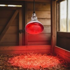 Eye-Catching 150W Red Heat Lamp for Indoor Pets  Reptiles   E26 Compatible