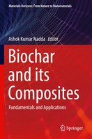Ashok Kumar Nadda | Biochar And Its Composites | Taschenbuch | Englisch (2024)
