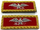 INDIAN WARS US ARMY M1872 ARTILLERY COLONEL TUNIC SHOULDER BOARDS W/CILPS