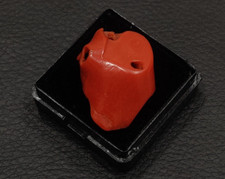 Mediterranean Red Coral Rough Branch Lot-AA Italian Red Coral Gemstone Rough