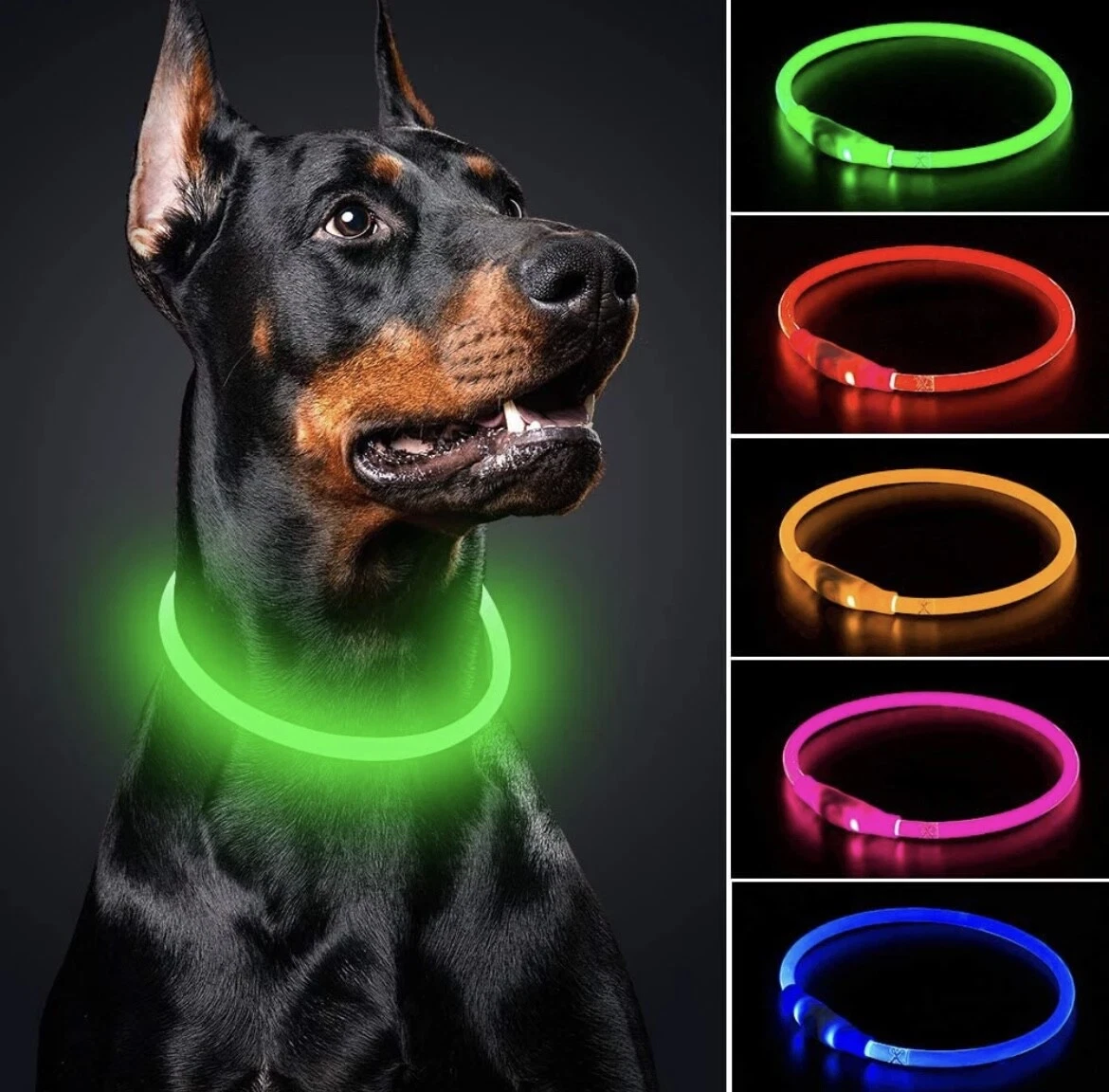 LED Dog Collar, USB Rechargeable Flash Dog Necklace Light, Pet Safety Collar  | eBay