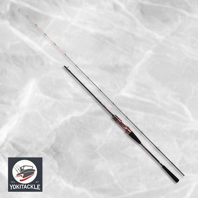 Daiwa 24 KOHGA MX TYPE-D 610HB THRILL GAME-W Baitcasting Rod