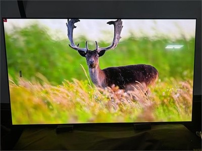 READ! Samsung 65'' OLED S95D Series 4K HDR Pro Smart TV QN65S95DAFXZA 2024