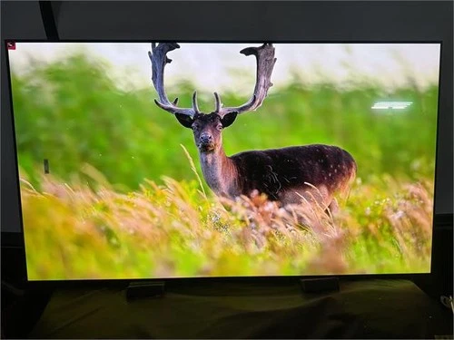 READ Samsung 65" OLED S95D Series 4K HDR Pro Smart TV QN65S95DAFXZA 2024