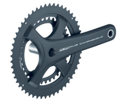 Campagnolo Centaur Dichtung 11v 50 34 172,5mm