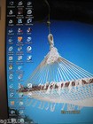 Bild 7 von 7