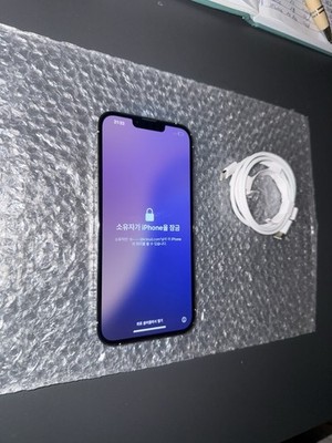 Apple Iphone 13 Pro Max 128GB silber Icload sperre ( DEFEKT ) sonnst  